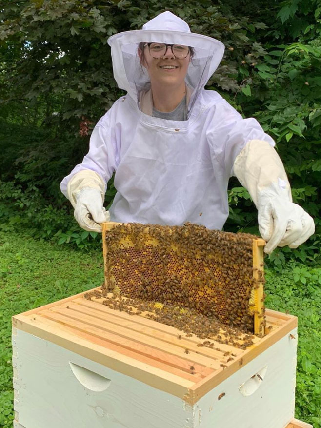 Donata Honey Bees